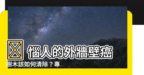 外牆除樹|【牆上長樹與風水】牆壁長樹該找誰處理 